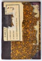 Gr. Bethlen M.: Divatos Erkölcsök. Dráma 3 felvonásban. Budapest, 1890, Fanda József Könyvnyomdája, ...