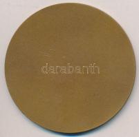 Iván István (1905-1968) "Budapest - Rákóczi Ferenc" Br emlékérem (80mm) T:1-