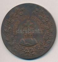 1906. "Honipari Kiállítás Érme, Torda" Br emlékérem (56mm) T:2 kis patina