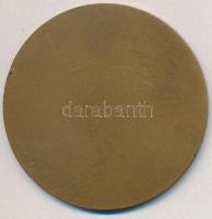 1967. "Csepel Vas- és Fémművek 75 év 1892-1967" Br emlékérem eredeti tokban (60,5mm) T:2 p...