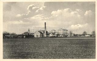 Somorja, Samorín; Látkép, gyár, kiadja Kranzinger N. / general view, fatory