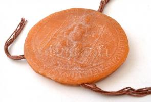 Érszegi Géza: Az Aranybulla. Budapest, 1990, Helikon. Kiadói papírkötés, kiadói tokban. Benne az okl...