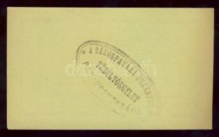 Sárospatak 1919. 5K előlap aláírás és sorszám nélkül, hátlapon lila bélyegző T:I