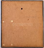 DN "Sevcsenko 1814-1861" nagyméretű Br lemezplakett T:2
ND "Shevchenko 1814-1861&quo...