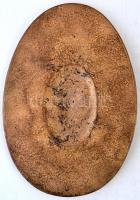 Olcsai Kiss Zoltán (1895-1981) 1969. "A Magyar Vöröskereszt III. Kongresszusa" Br emlékpla...