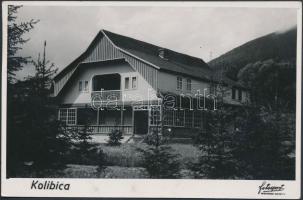 Kolibica, Colibita; vendégház / guest house