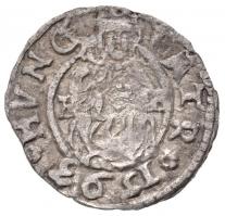 1593K-B Denár Ag Rudolf (0,53g) T:2- k. Huszár 1059.,Unger II.: 811.a