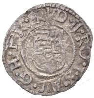 1593K-B Denár Ag "Rudolf" (0,53g) T:2- k.
Huszár 1059.,Unger II.: 811.a