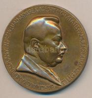 Kisfaludi Strobl Zsigmond (1884-1975) 1926. "Korányi Sándor születésének 60. évfordulójára" Br egyoldalas emlékplakett. "BARONI ALEXANDRO KORÁNYI IN MEMORIAM ANNI SEXAGESIMI NATIVITATIS FAMULI GRATIAM AGENTES" (60mm) T:2,2- ph.