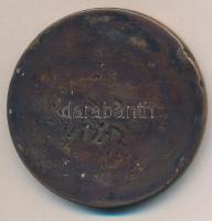 Kisfaludi Strobl Zsigmond (1884-1975) 1926. "Korányi Sándor születésének 60. évfordulójára&quot...