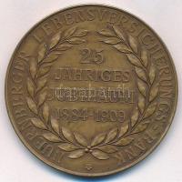 Németország / Nürnberg 1909. "Nürnbergi Életbiztosító Bank - 25 éves Jubileum 1884-1909" B...