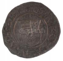 1595K-B Denár Ag "Rudolf" (0,6g) T:2,2-.
Huszár 1059.,Unger I.: 811.a