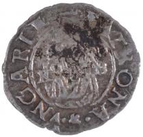 1578K-B Denár Ag "Miksa" (0,43g) T:2-
Huszár: 993.,Unger II.: 767.a