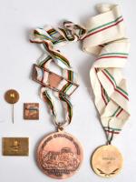 Vegyes: 5db klf díjérem és jelvény, közte Ausztria 1978. "5.IVV Volkswanderung Schönbrunn"...