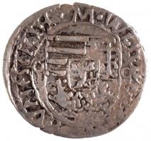 1490-1494. Denár II. Ulászló (0,57g) T:2,2- Huszár 803.,Unger I.: 638.b