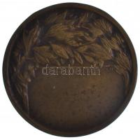 ~1930. "Újpesti Torna Egylet 1885" Br emlékérem hátoldalán "LUDVIG BPEST" gyártó...