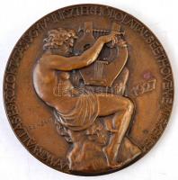 Reményi József (1887-1977) 1927. "Beethoven halálának századik évfordulójára" Br emlékérem...