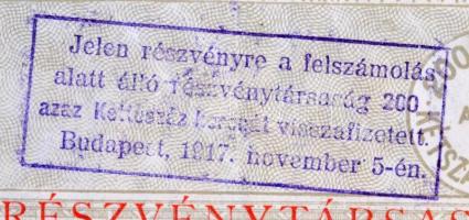 Budapest 1895. "A Lechner Rákosi Téglagyár-Részvénytársaság" részvénye 100Ft-ról, szelvény...