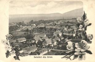 Orlát, Látkép, kiadja George Baciu / general view, floral (EK)