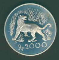 Indonézia 1974. 2000R "Tigris" T:PP