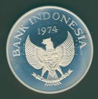 Indonézia 1974. 2000R "Tigris" T:PP