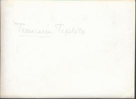 cca 1920-1930 Trencsénteplitz, feliratozott fotó, felületén törésnyomokkal, 12x16 cm