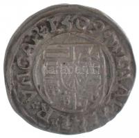 1509K-G Denár Ag "II. Ulászló" (0,62g) T:2-
Huszár: 811. Unger I.: 646.c