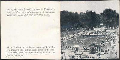 cca 1930-40 Hungary Debrecen Ungarn. 23 oldalas prospektus Debrecenről, fekete-fehér képekkel, angol...