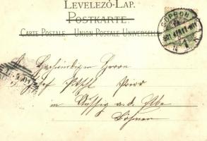 Sopron, Deák tér, fotó és virágos litho keret, Kummert T. kiadása / photo on floral litho postard