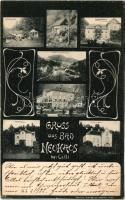 Bad Neuhaus bei Cilli, Dobrna; Kurhaus, Villa Hygea, Teufelsmühle / spa, villa, mill, Art Nouveau (EK)