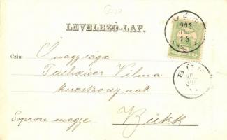 Vép, Erdődy kastély. Verlag von Franz Karlowitz floral