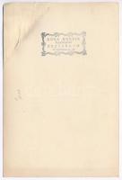 cca 1930 Esztergomi strand, háttérben a Bazilika, Róna Henrik fényképész esztergomi műterméből, sérü...