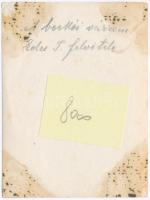 ~1910 Beckó, Beczkó, Beckov; várrom, Édes J. felvétele / castle ruin. photo (12 × 9 cm)