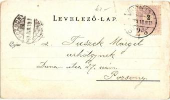 1899 Budapest XIII. Margit sziget, vízesés (b)