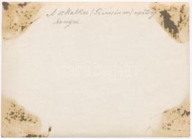 cca 1910 A Szkalkai-apátság  (Trencsén megye) tornyai eredeti fotó 12x17 cm