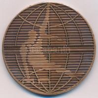 1983. "XXII. Tornász Világbajnokság - Budapest 1983" Br emlékérem, műanyag tokban (60mm) T...