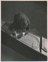 cca 1933 Osoha László pecséttel jelzett vintage fotóművészeti alkotása, 21,5x16,5 cm