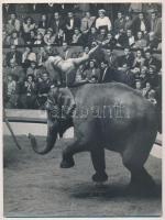 cca 1960 Márci Géza: Cirkuszban, feliratozott vintage fotóművészeti alkotás, 24x18 cm