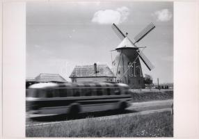cca 1970 Kecskemét határában az újjá épített szélmalom, korabeli negatívról készült mai nagyítás 18x25 cm-es fotópapíron