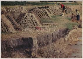 cca 1965 Vályogvető cigányok Kecskemét határában, 2 db korabeli negatívról és 1 db színes diáról kés...