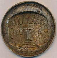 1973. "Újszerház" Bronzozott fém lemezplakett. Szign.: NM (107mm) T:2