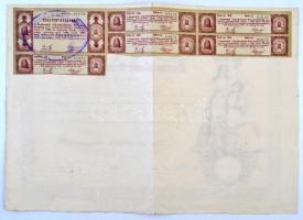 Szekszárd 1924. "A Szekszárdi Takarékpénztár" részvénye 25.000K-ról, felülbélyegzéssel, sz...