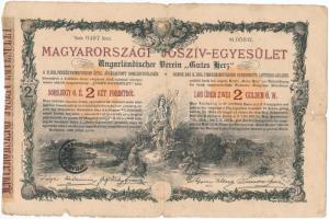 Budapest 1888. Magyarországi Jószív-Egyesület sorsjegykölcsön 2Ft-ról, szárazpecséttel, bélyegzésekkel (2x) T:III,III- ly.