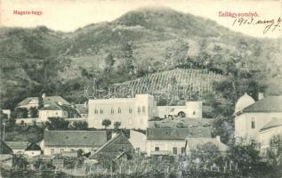 Szilágysomlyó, Simleu Silvaniei; Magura-hegy,  kiadja Sternberg Ignácz / mountain (EK)