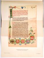 A magyar nemzet története I-X. kötet. A II. kötet hiányzik, csak kilenc kötet. Szerk. Szilágyi Sándo...