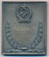 1951. "Honvéd Sportversenyek" fém plakett, hátlapján gravírozás. Szign.:Jákfalvy (60,5x52m...