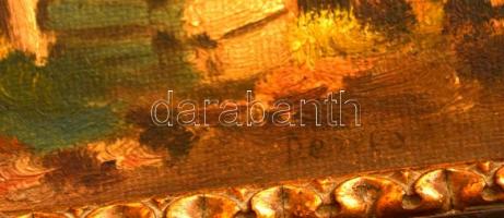 Dénes jelzéssel: Udvar a kúttal. Olaj, karton, keretben, 16×23 cm