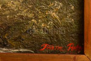 Franz jelzéssel: Patak vízeséssel. Olaj, falemez, keretben, 18×23 cm