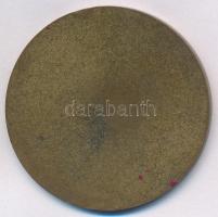 ~1930-1940. "A Magyar Királyi Honvédség Tisztelet Díja" Br emlékérem (45mm) T:2
~1930-194...