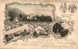 Bellye, Bilje; Látkép, címer / general view, coat of arms, floral, Art Nouveau